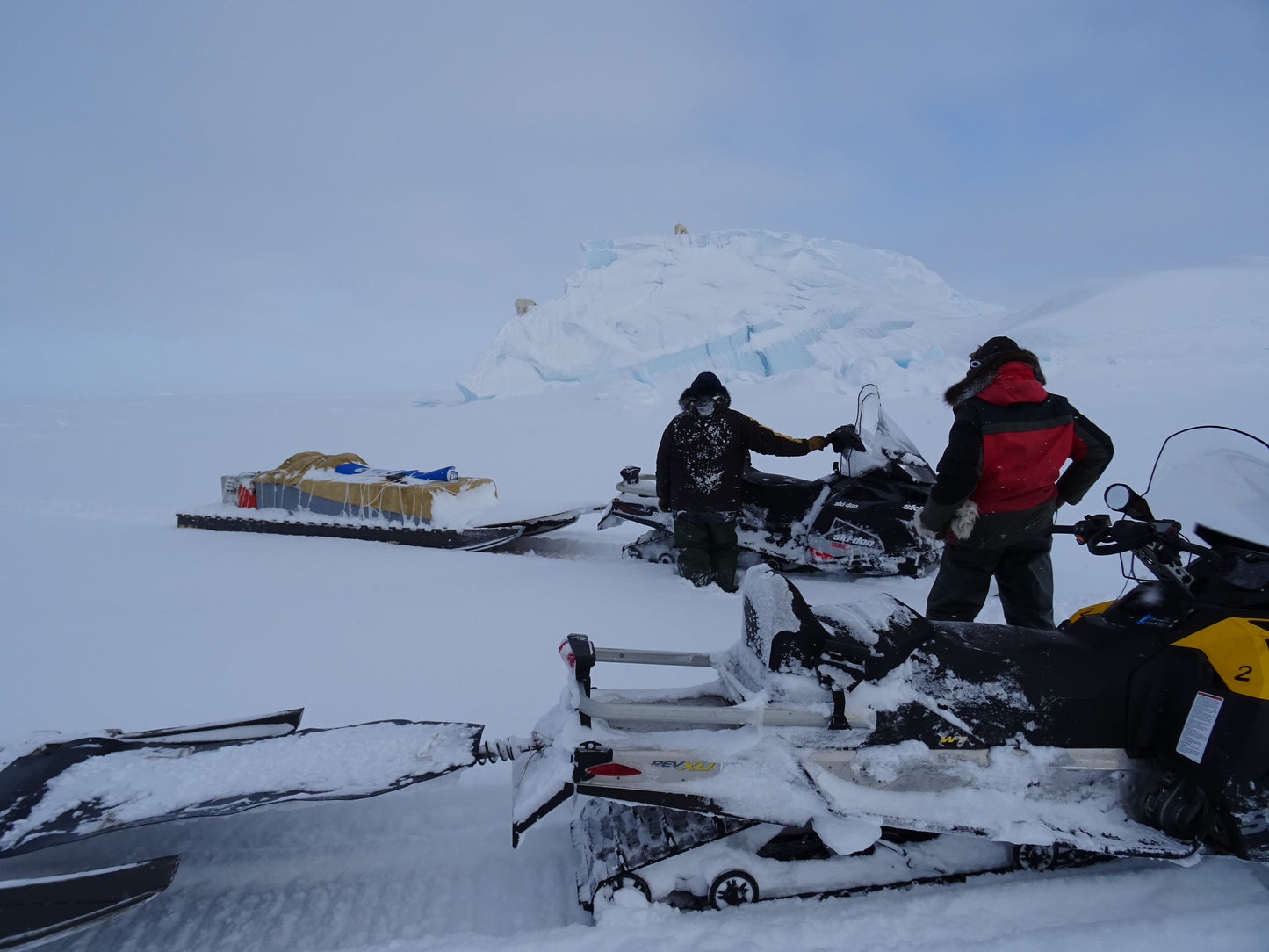 Arktischer Abend: Prof. Christian Haas – Abenteuer Meereisforschung