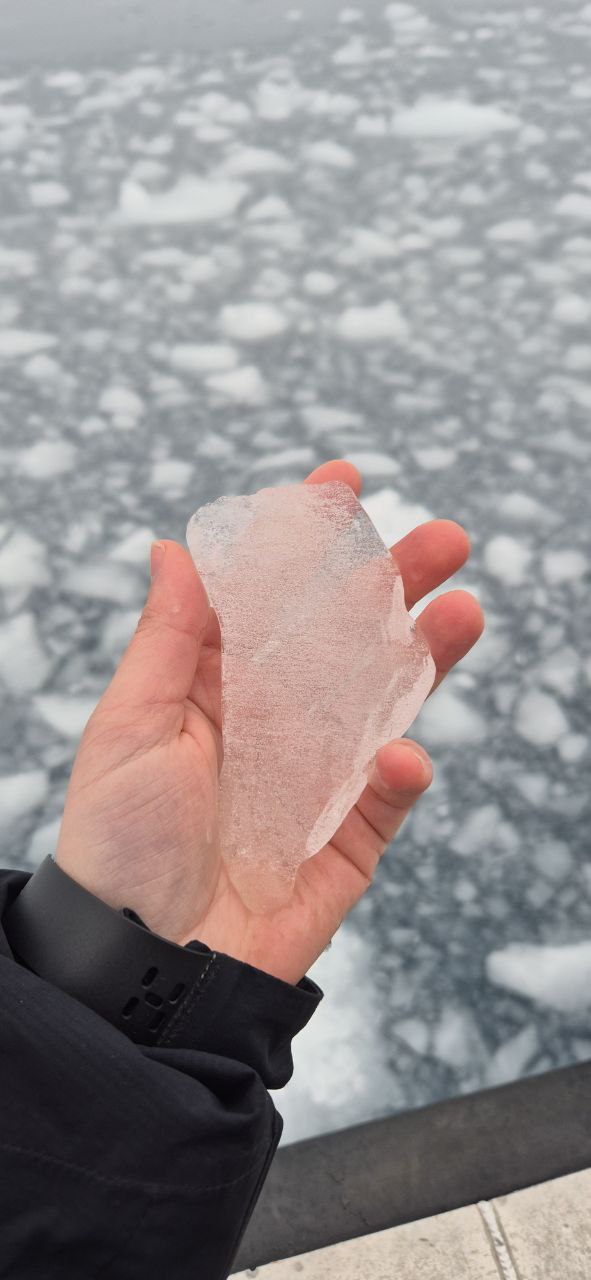 Arktischer Abend: Norja Walther – Leben in Grönland: zwischen Alltag und Weltpolitik