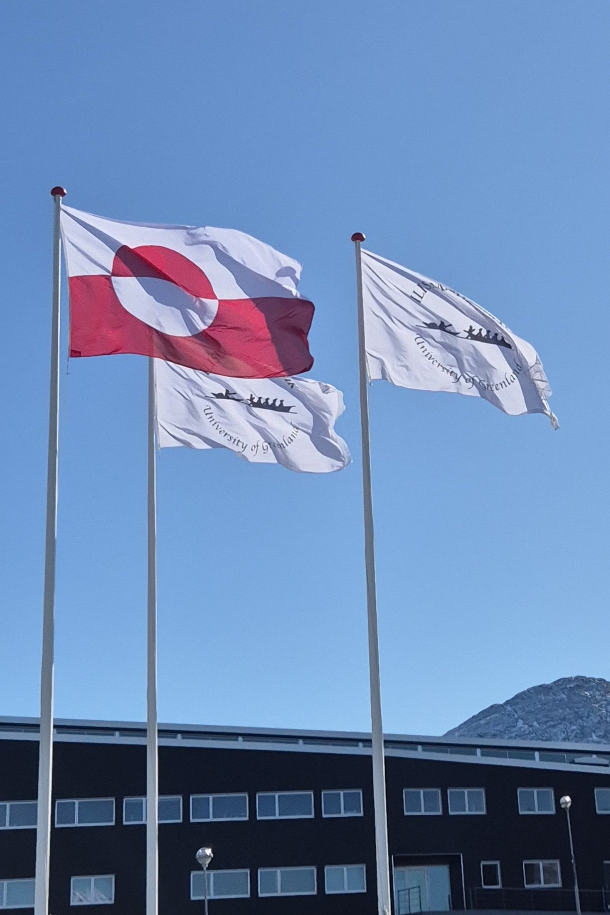 Arktischer Abend: Norja Walther – Leben in Grönland: zwischen Alltag und Weltpolitik