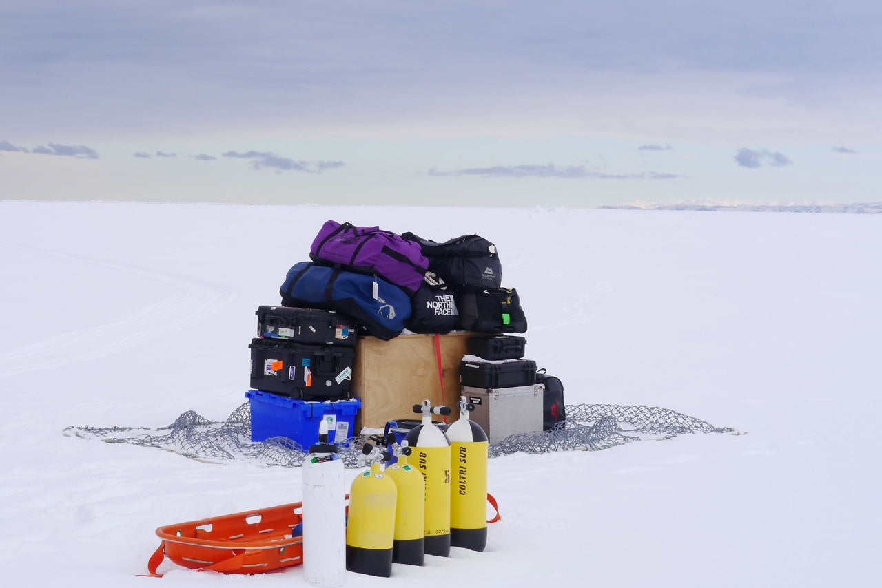 Arktischer Abend: Dr. Tanja Bayer – Zwischen Schollen und Eisbergen: Abenteuer Polar-Tauchen