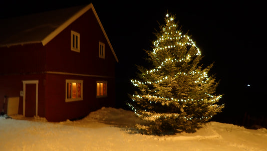 Arktischer Abend: Birgit Lutz – Nordische Weihnachten